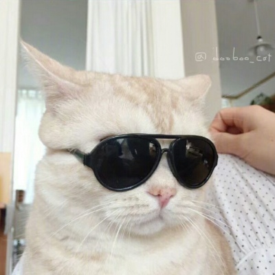 萌萌可愛小甜甜